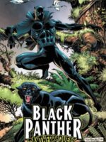 Black Panther: Panther's Quest