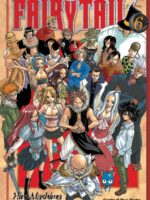 Fairy Tail 6