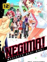 Negima! 12 : Magister Negi Magi