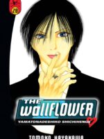 Wallflower, The 28