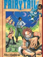 Fairy Tail 4