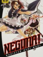 Negima! 25 : Magister Negi Magi