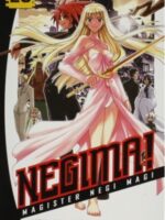 Negima! 26 : Magister Negi Magi