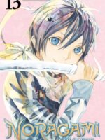 Noragami Volume 13