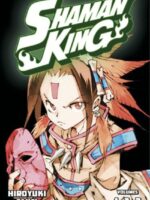 SHAMAN KING Omnibus 1 (Vol. 1-3)