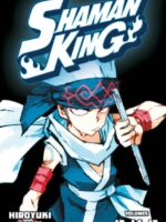 SHAMAN KING Omnibus 5 (Vol. 13-15)