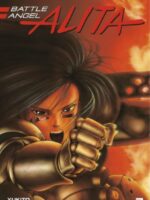 Battle Angel Alita 3 (Paperback)