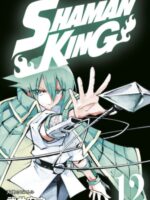 SHAMAN KING Omnibus 7 (Vol. 19-21)