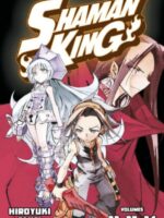 SHAMAN KING Omnibus 8 (Vol. 22-24)