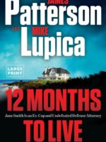 Jane Effing Smith : Patterson's greatest character and series since Alex Cross