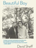 Beautiful Boy : A Father's Journey Through His Son's Addiction